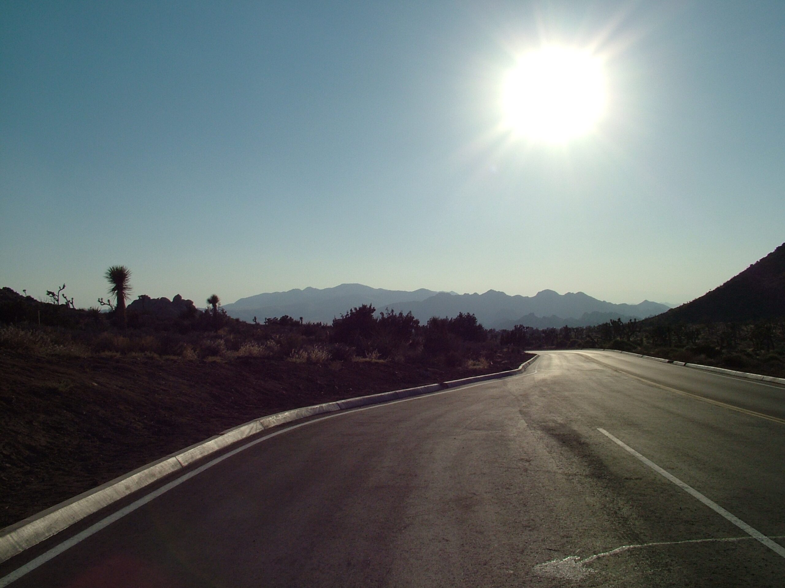 Why A Road Trip Call To Us